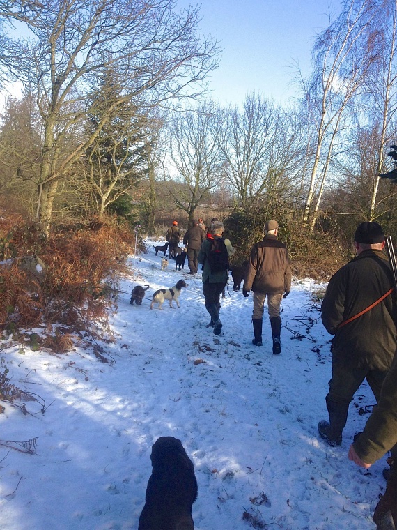 2016_pheasant-hunt-in-dk